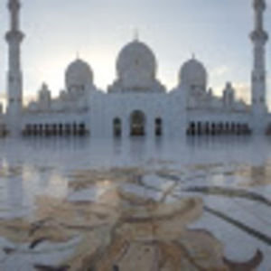 Meet your Posher, Dominic